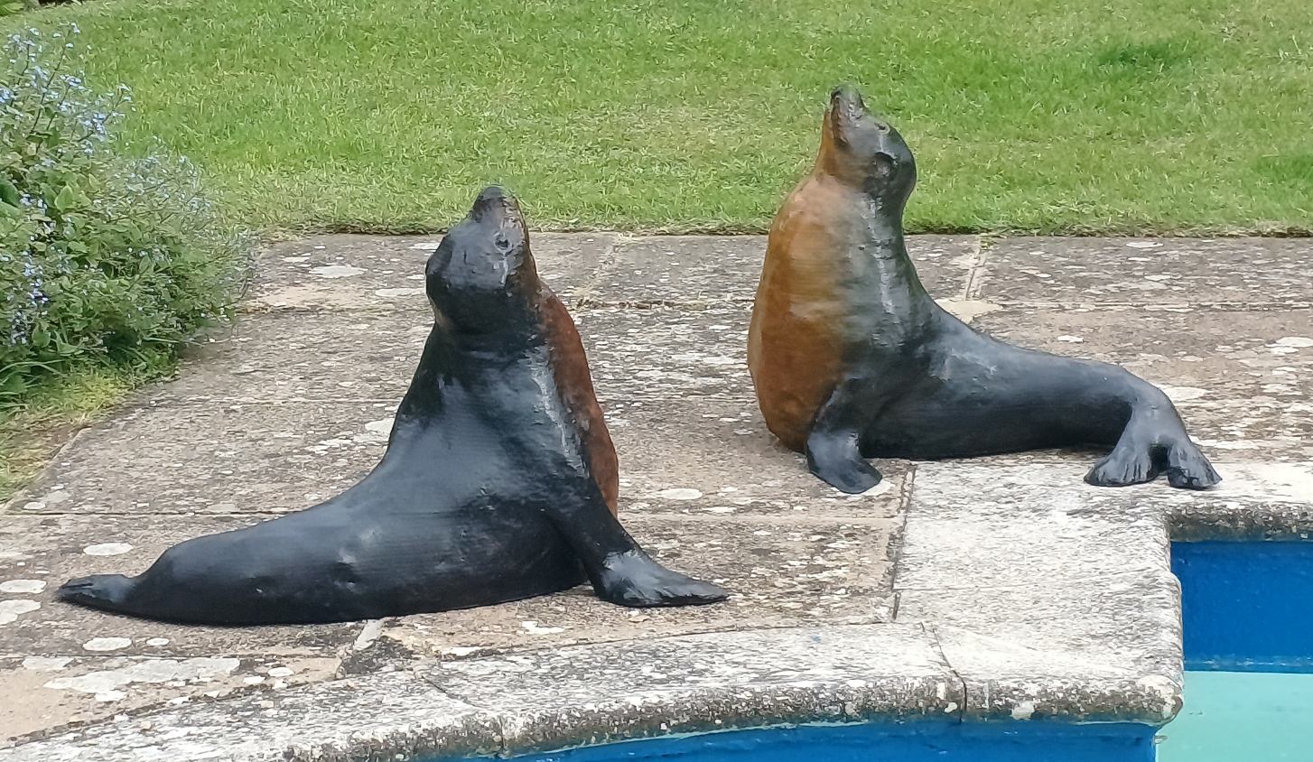 seals are 3d printed biopolymer sculptures created by Henrietta Bud