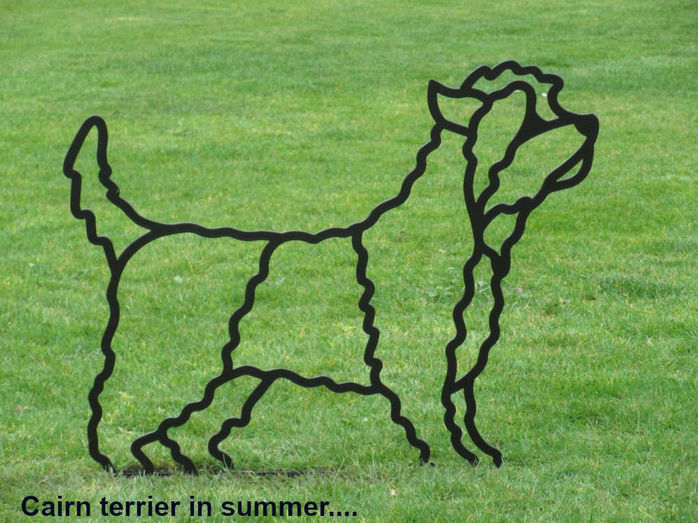 Cairn terrier a steel garden sculpture by Henrietta Bud