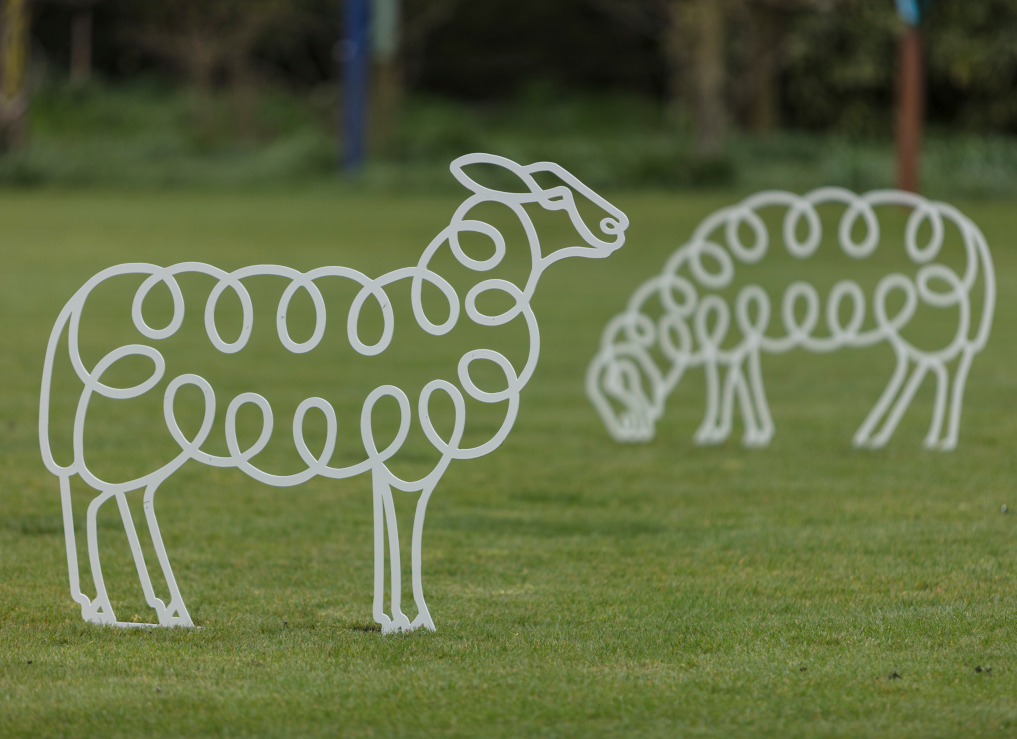 Upright sheep are steel garden sculptures by Henrietta Bud