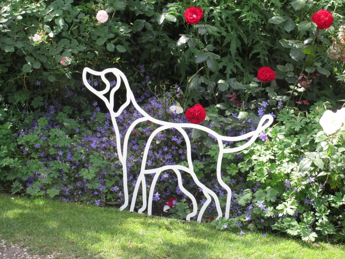 white terrier