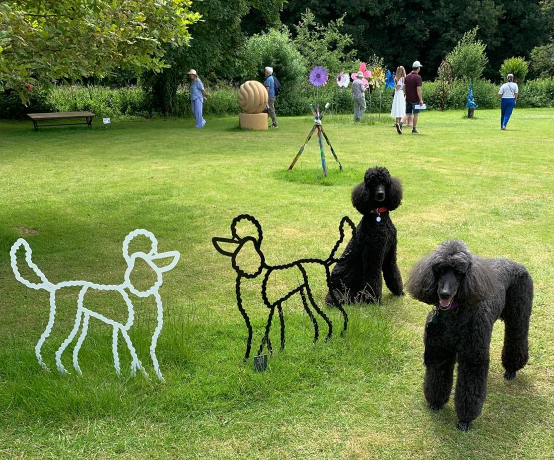 live poodles  poodle  garden sculptures made in steel by Henrietta Bud