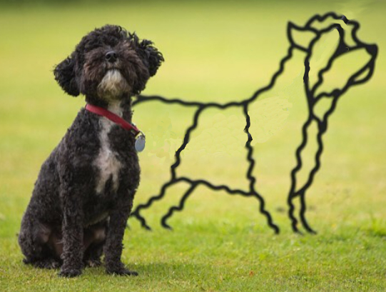 cairn terrier a steel garden sculpture