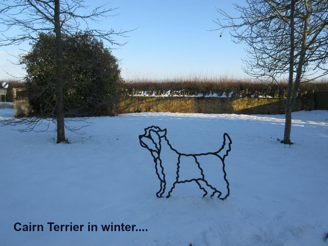 west highland white  westie terrier a steel garden sculpture by Henrietta Bud
